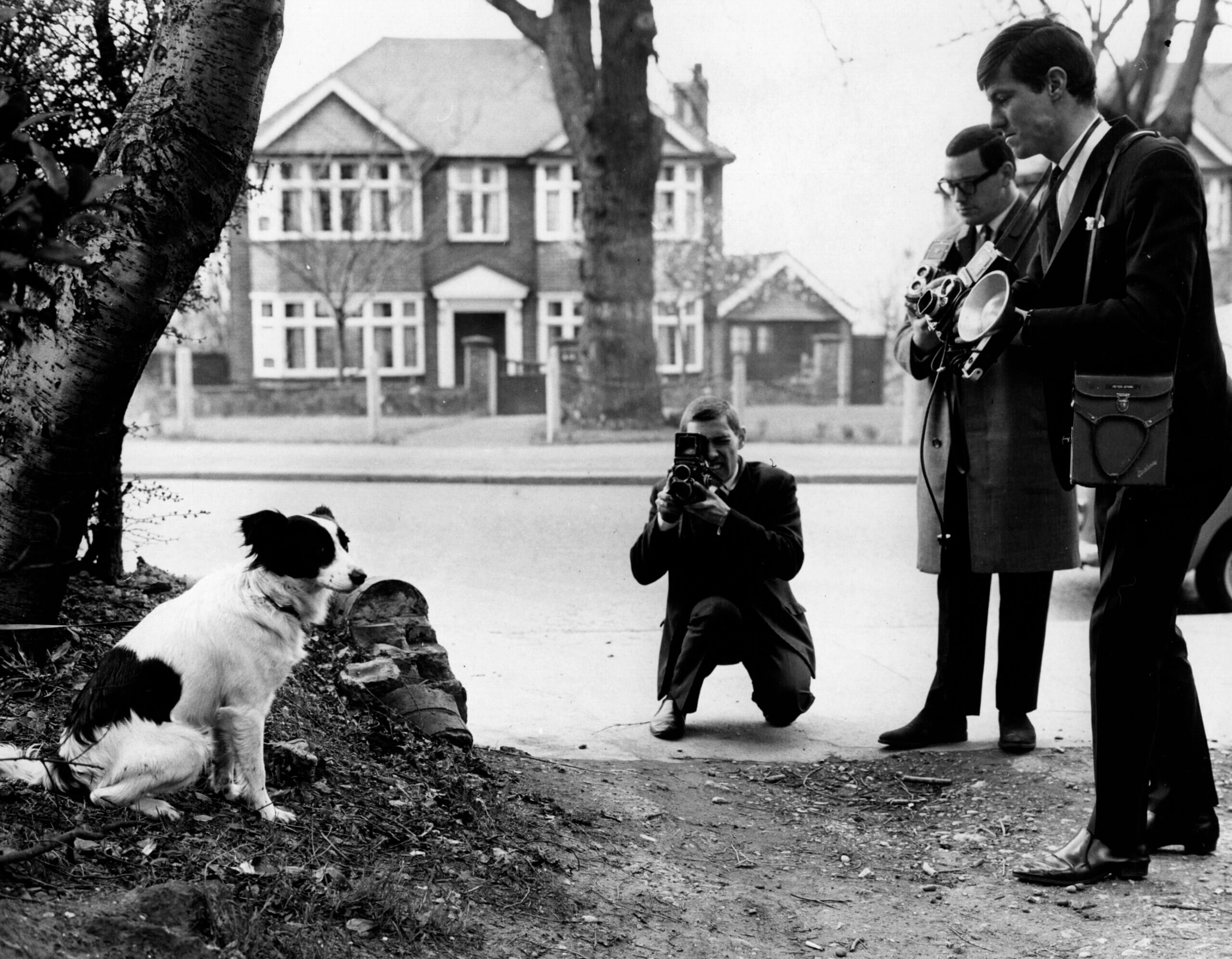 Dog Found the Stolen World Cup Trophy in 1966